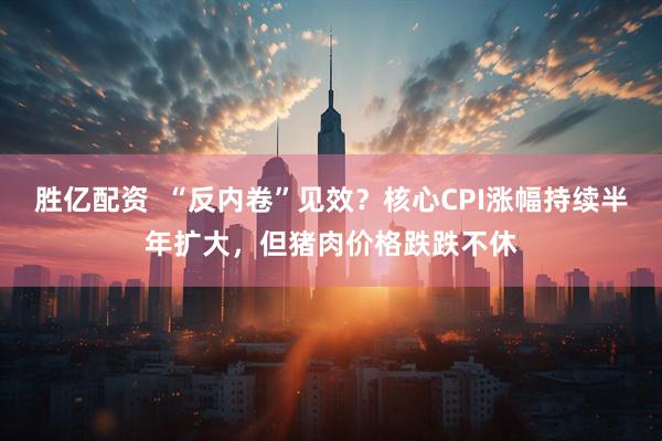 胜亿配资  “反内卷”见效？核心CPI涨幅持续半年扩大，但猪肉价格跌跌不休