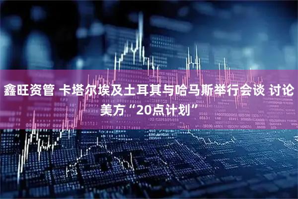 鑫旺资管 卡塔尔埃及土耳其与哈马斯举行会谈 讨论美方“20点计划”